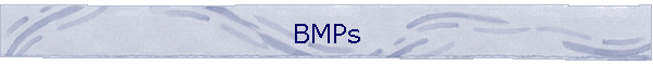 BMPs