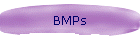 BMPs